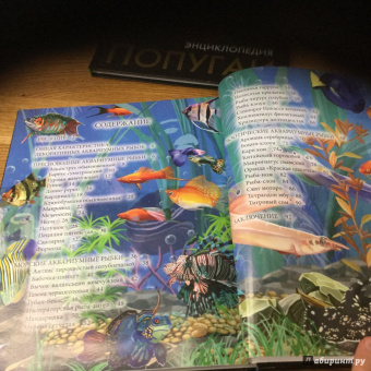 Лада Александрова: Хочу знать. Аквариумные рыбки