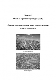 Ториков, Мельникова: Производство продукции растениеводства. Учебное пособие