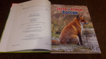 Сергей Рублев: Звери и птицы России. Энциклопедия для детей