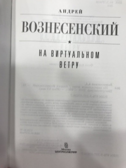 Андрей Вознесенский: На виртуальном ветру