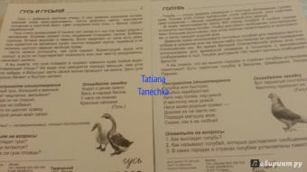 Т. Шорыгина: Демонстрационные картинки "Птицы домашние и декоративные" (16 картинок)