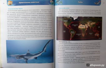 Ольга Тяжлова: Удивительные животные