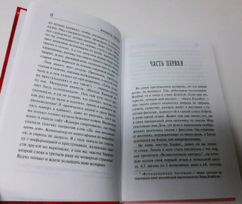Аннабель Питчер: Облака из кетчупа