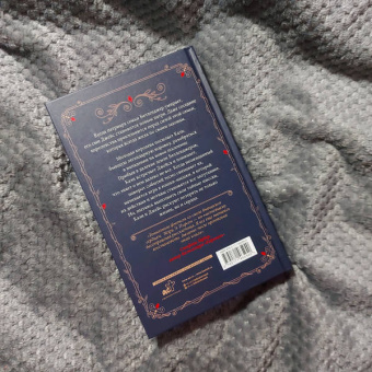 Мэри Пирсон: Танец воров