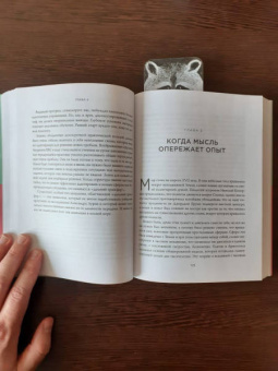 Дэвид Эпштейн: Универсалы. Как талантливые дилетанты становятся победителями по жизни