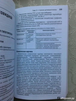 Эндокринология. Национальное руководство. Краткое издание