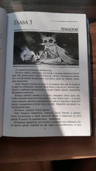 Мария Покусаева: Зеркала. Темная сторона