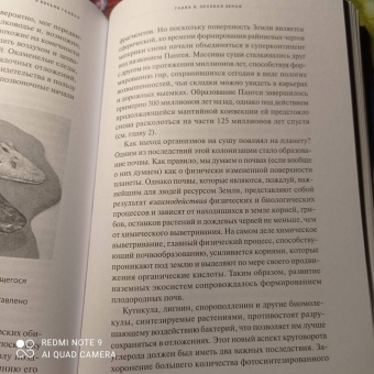 Эндрю Нолл: Краткая история Земли. Четыре миллиарда лет в восьми главах
