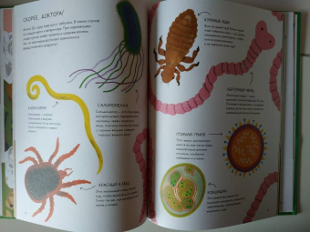 Джуббилини, Сандри: Курицеведение. Дачная энциклопедия