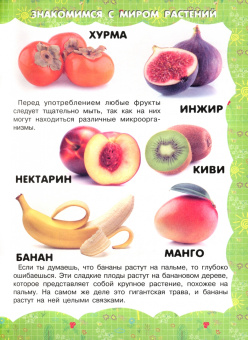 Живая природа