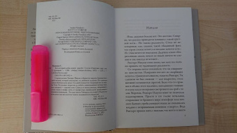 Сосукэ Нацукава: Кот, который любил книги:  ранобэ