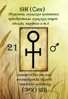 Ирина Веда: Оракул Эльфийских рун (22 карты + инструкция)