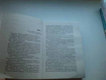 Литвинова, Литвинов: Пальмы, солнце, алый снег