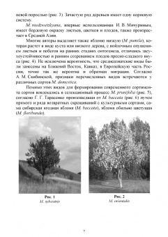 Константин Лактионов: Частное плодоводство. Семечковые культуры. Учебное пособие