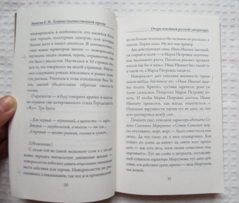 Евгений Замятин: Техника художественной прозы