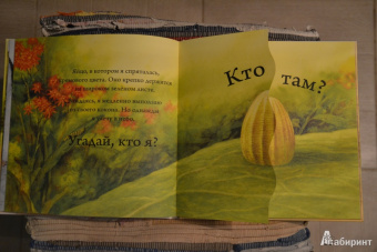 Кто спрятался?