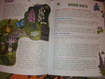 Эмма Янссон: Цветы и растения