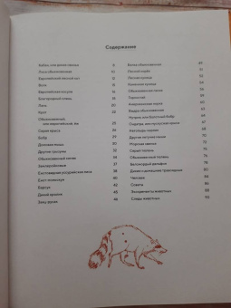 Стегман, Янсен: Наши соседи по планете. Рассказы о диких животных