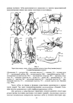 Виктор Машкин: Биология промысловых зверей России. Учебник для СПО