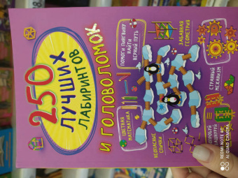 Попова, Третьякова: 250 лучших лабиринтов и головоломок