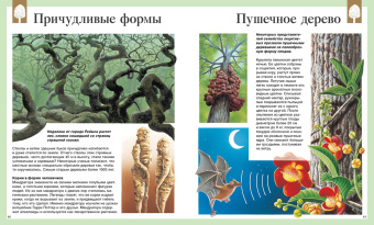 Детская энциклопедия. 250 чудес света