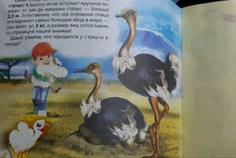 Я – зоолог!