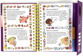 Мюлленхейм де: Как это работает?