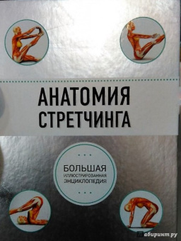 Анатомия стретчинга. Большая иллюстрированная энциклопедия