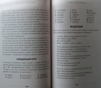 Диана Паксон: Руническое искусство. Путеводитель по использованию рун в заклинаниях, ритуалах и гадании