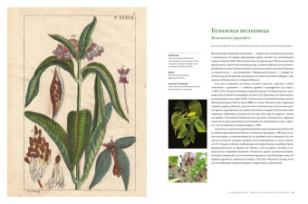 Макс Адамс: Выдающиеся деревья, которые изменили нашу жизнь