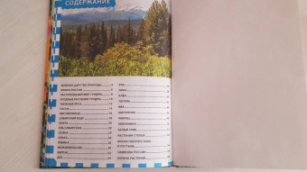 Растительный мир России. Популярная детская энциклопедия