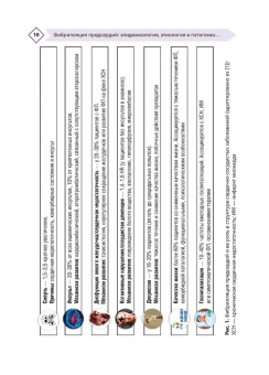 Напалков, Соколова, Жиленко: Фибрилляция предсердий. Антикоагулянтная терапия в таблицах и схемах