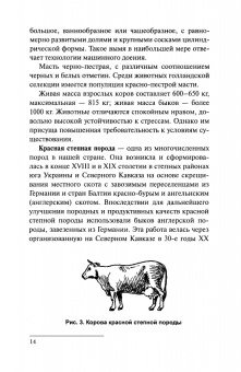 Николай Полянцев: Практикум по содержанию и эффективному использованию молочных коров. Учебное пособие для СПО