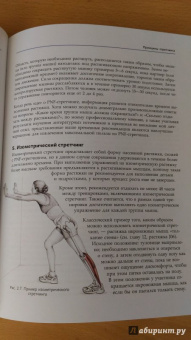 Анатомия стретчинга. Большая иллюстрированная энциклопедия
