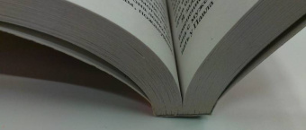 Марина Серова: Музей неживых фигур