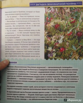 Валентина Мальцева: Открываем тайны леса