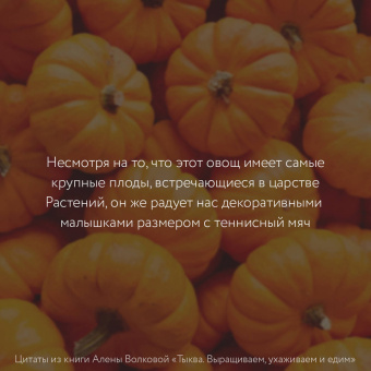 Алена Волкова: Тыква. Выращиваем, ухаживаем и едим