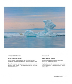 Россия - самая красивая страна. Фотоконкурс 2018