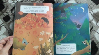 В лесу. Книжка с наклейками. 2+