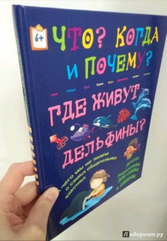Чернецкий, Краснова: Где живут дельфины? И чего мы не знаем о самых общительных животных