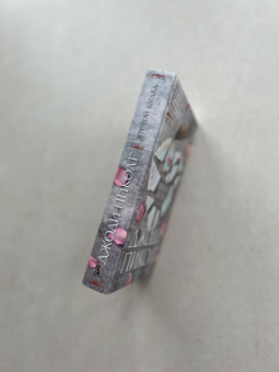 Джоди Пиколт: Второй взгляд