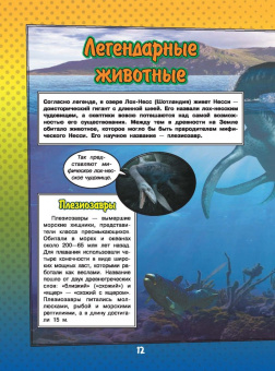 Ликсо, Кошевар: О подводном мире