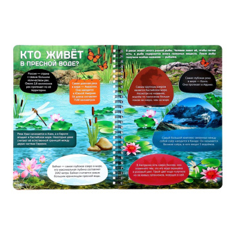 Жизнь на земле. Животные и где они обитают