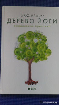 Айенгар Беллур Кришнамачар Сундараджа: Дерево йоги. Ежедневная практика