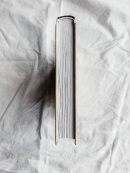 Кристина Рикардссон: Второй шанс для Кристины. Миру наплевать, выживешь ты или умрешь. Все зависит от тебя