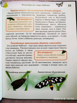 Людмила Соколова: Энциклопедия. Бабочки