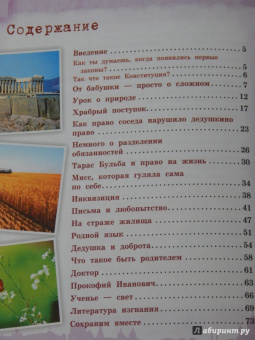 Ася Серебренко: Конституция для детей