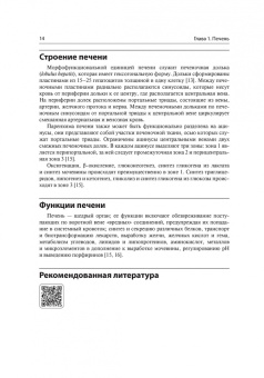 Бергаса Нора: Гепатология. Разбор клинических случаев