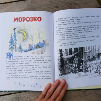 Русские сказки. Рисунки Ю.Васнецова