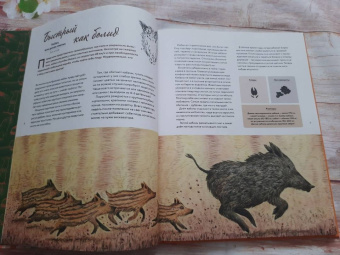 Стегман, Янсен: Наши соседи по планете. Рассказы о диких животных